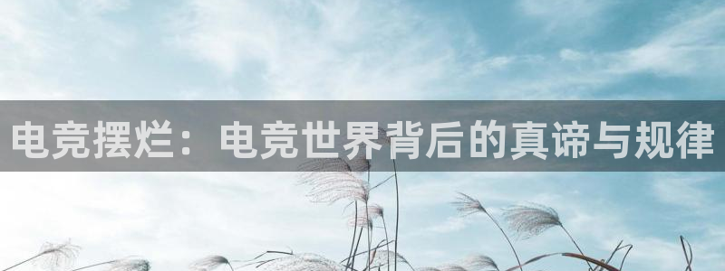 雷火电竞是黑台子吗