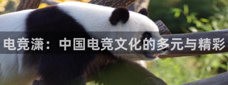 雷火电竞LH官网入口