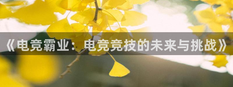 雷火电竞在线登录官网