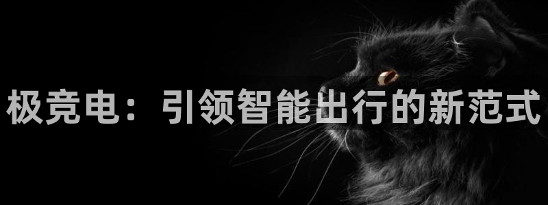 e8125雷火电竞：极竞电：引领智能出行的新范式