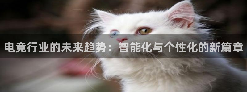 雷火电竞官网首页：电竞行业的未来趋势：智能化与个性化的新篇章