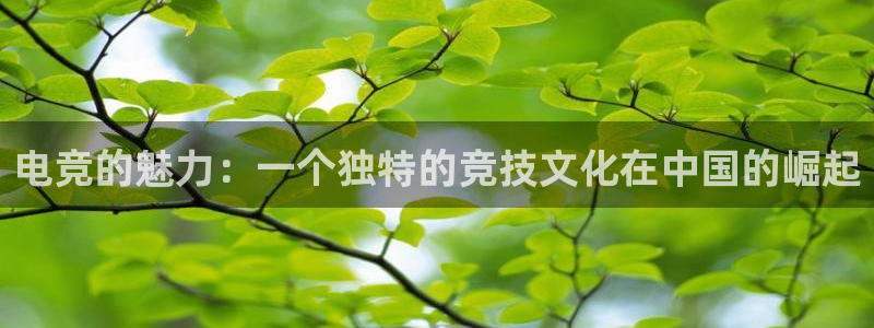 雷火电竞app官网入：电竞的魅力：一个独特的竞技文化在中国的崛起