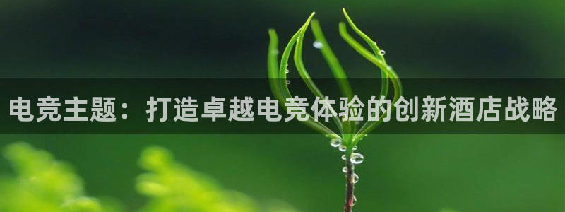 雷火电竞网址：电竞主题：打造卓越电竞体验的创新酒店战略