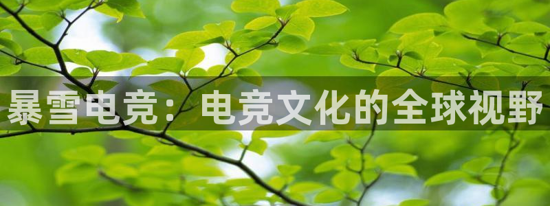 雷火电竞审核多长时间：暴雪电竞：电竞文化的全球视野