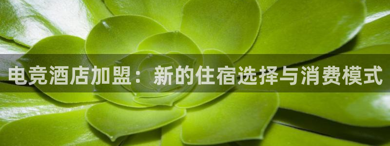 雷火电竞赏金赛赚钱版