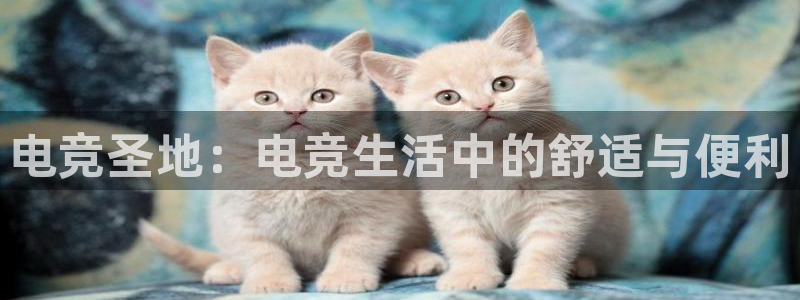 雷火电竞官网入口：电竞圣地：电竞生活中的舒适与便利