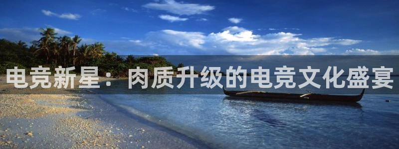 雷火电竞app官网入：电竞新星：肉质升级的电竞文化盛宴