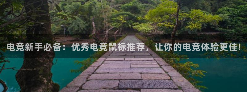 雷火电竞热门赛事有哪些：电竞新手必备：优秀电竞鼠标推荐，让你的电竞体验更佳!