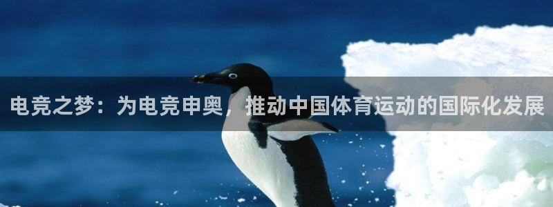 雷火电竞链接：电竞之梦：为电竞申奥，推动中国体育运动的国际化发展