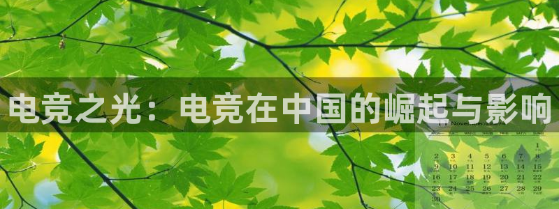 雷火电竞,亚洲电竞先驱：电竞之光：电竞在中国的崛起与影响