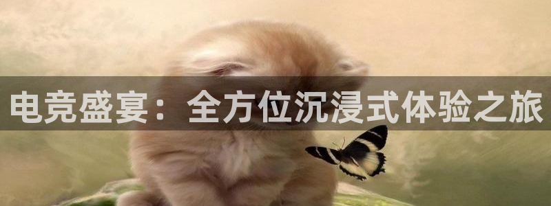 雷火电竞是什么：电竞盛宴：全方位沉浸式体验之旅